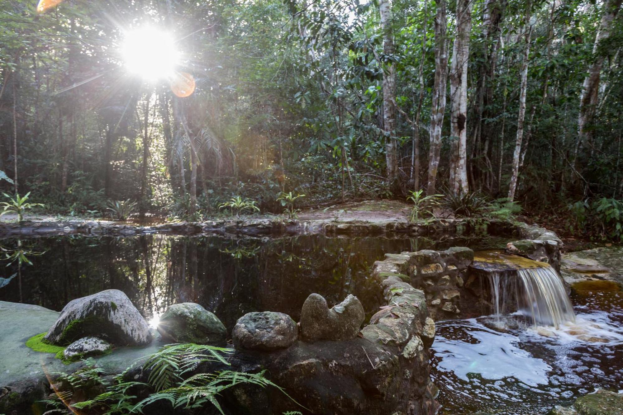 Lodge Amazon Ecopark Jungle Manaus