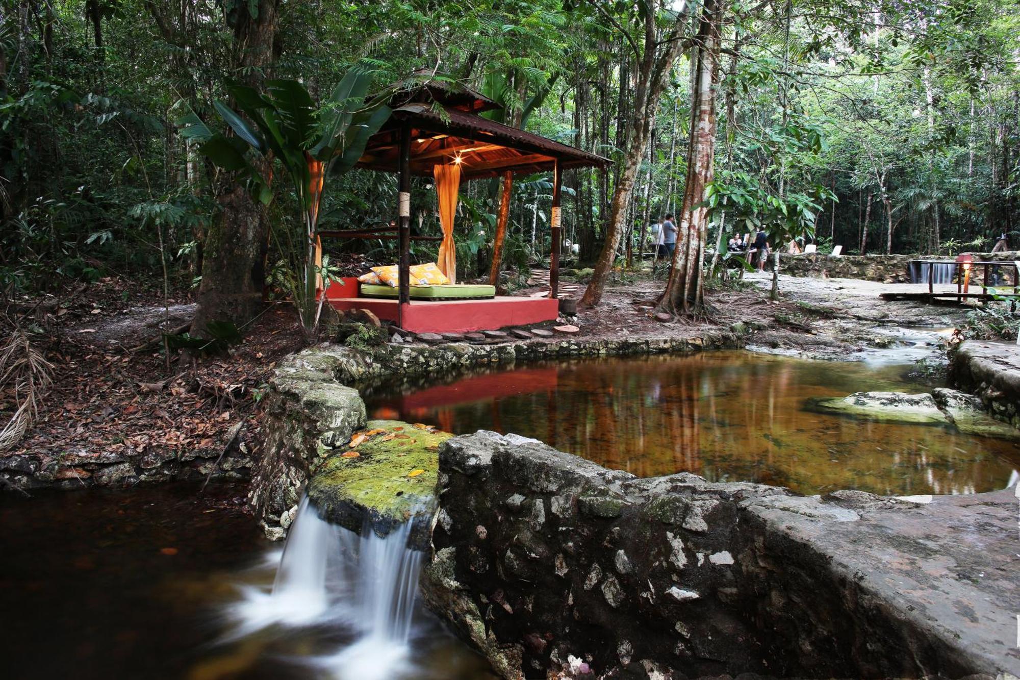 Amazon Ecopark Jungle *