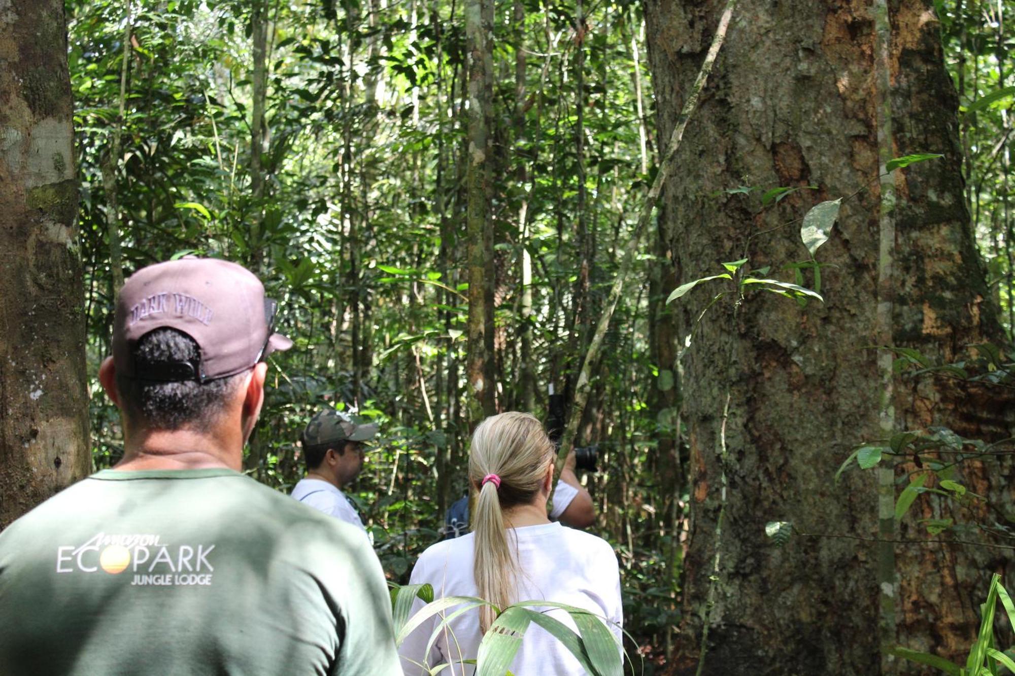 Amazon Ecopark Jungle Lodge Manaus