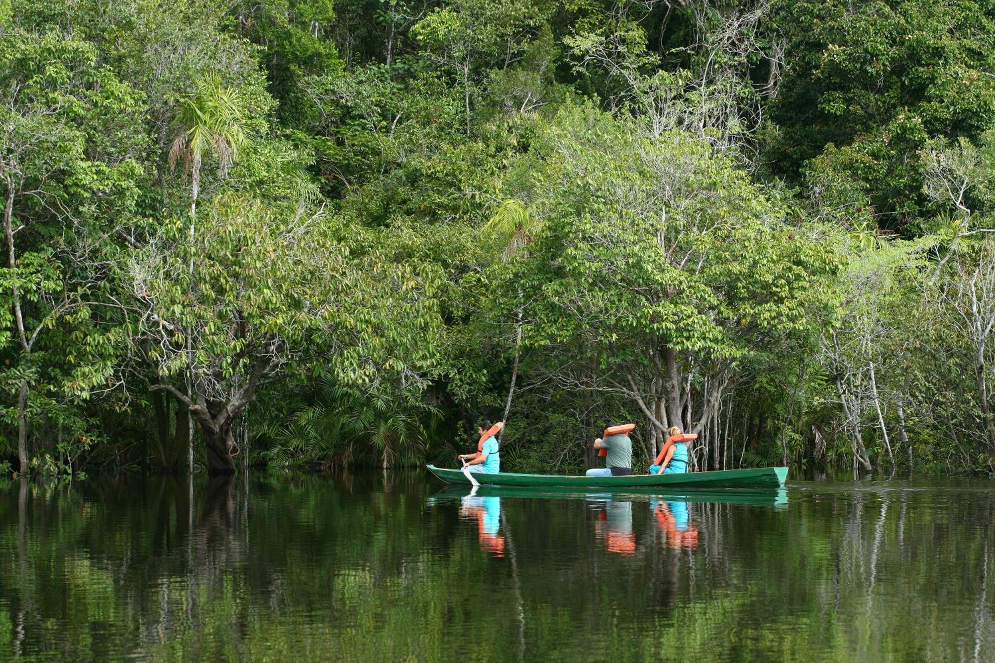 Amazon Ecopark Jungle Manaus