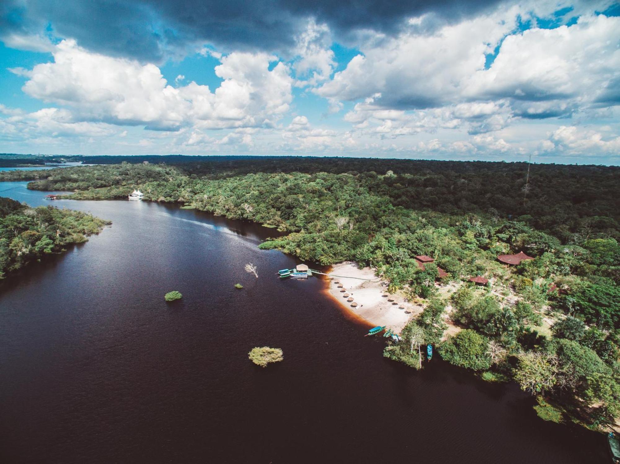 Amazon Ecopark Jungle