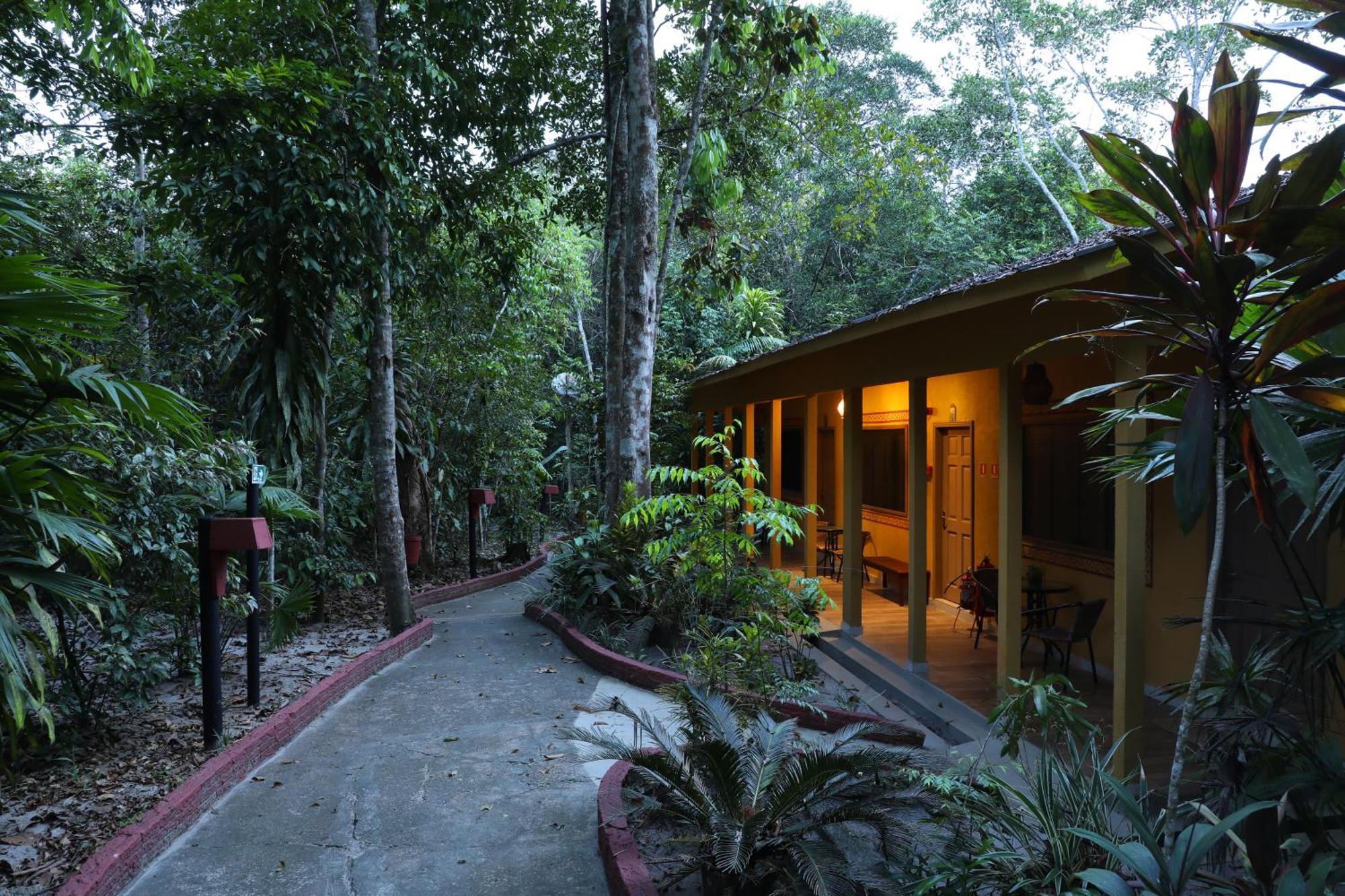 Amazon Ecopark Jungle Manaus