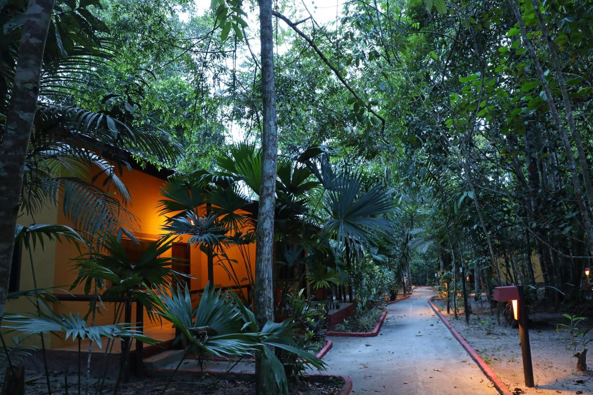 Lodge Amazon Ecopark Jungle *