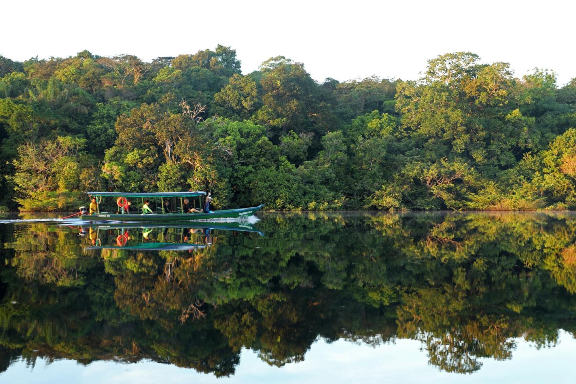Amazon Ecopark Jungle *