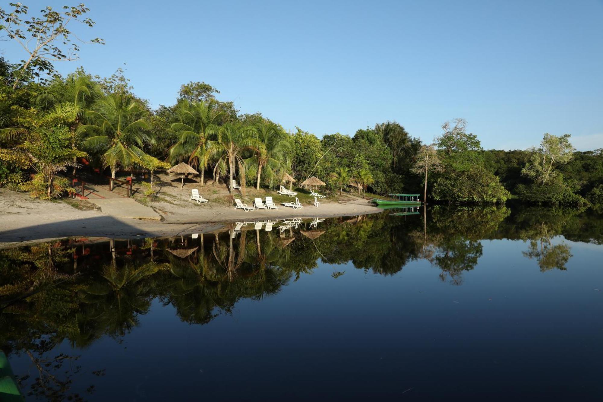 Lodge Amazon Ecopark Jungle