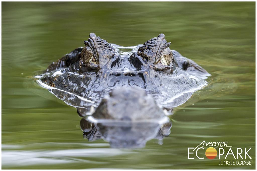 Amazon Ecopark Jungle * Manaus