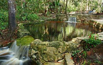 Lodge Amazon Ecopark Jungle Manaus