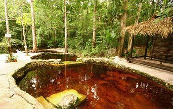 Amazon Ecopark Jungle Manaus