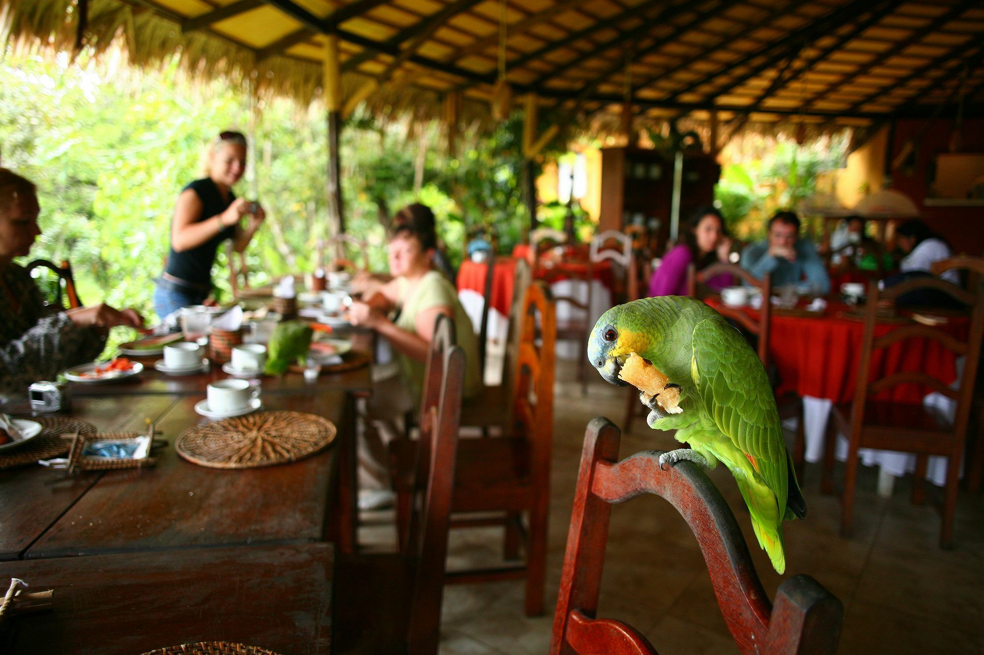Lodge Amazon Ecopark Jungle Manaus